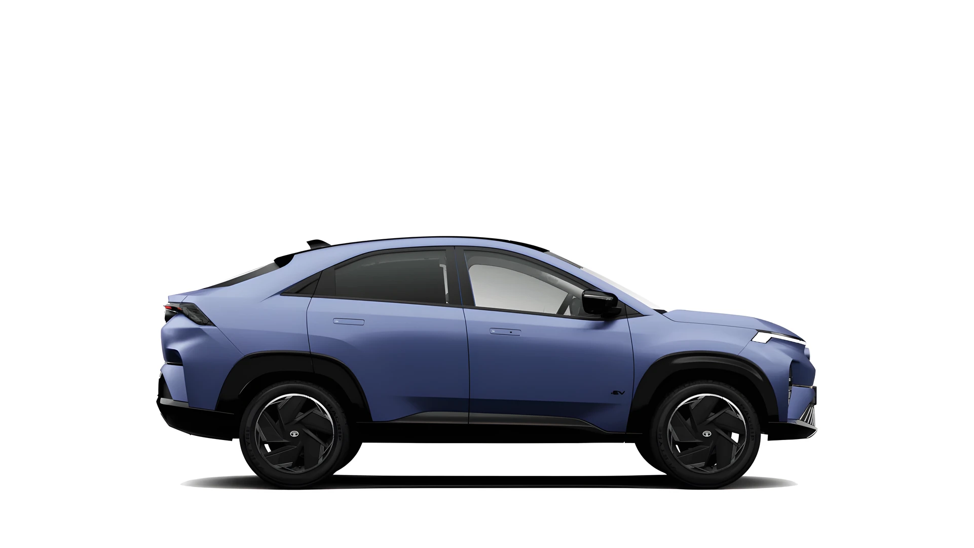 Side Profile (Right)