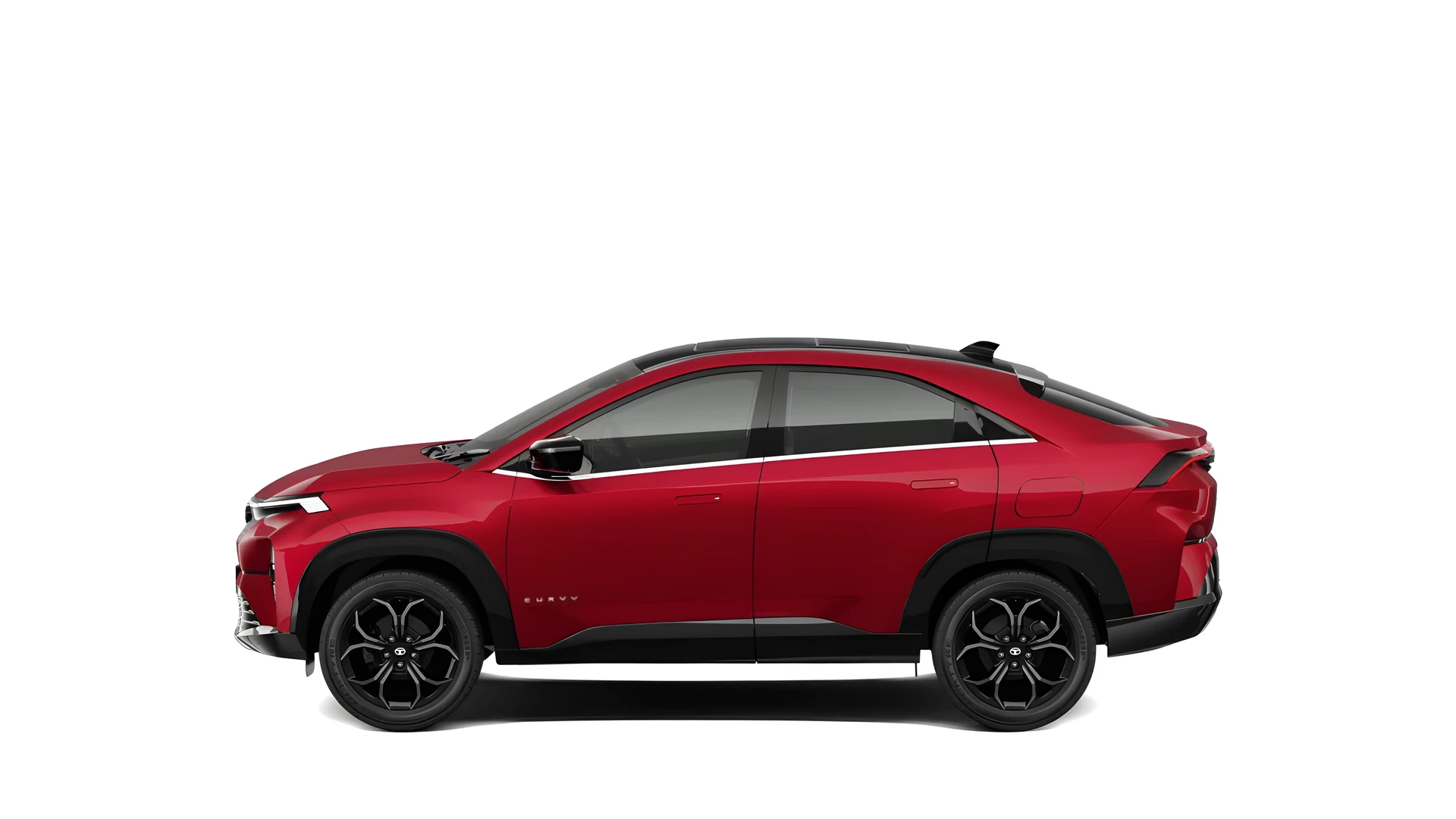 Side Profile (Left)