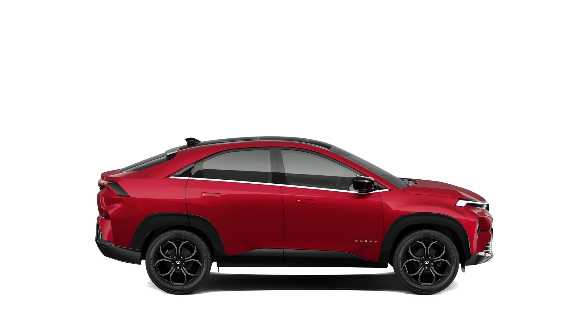 Side Profile (Right)