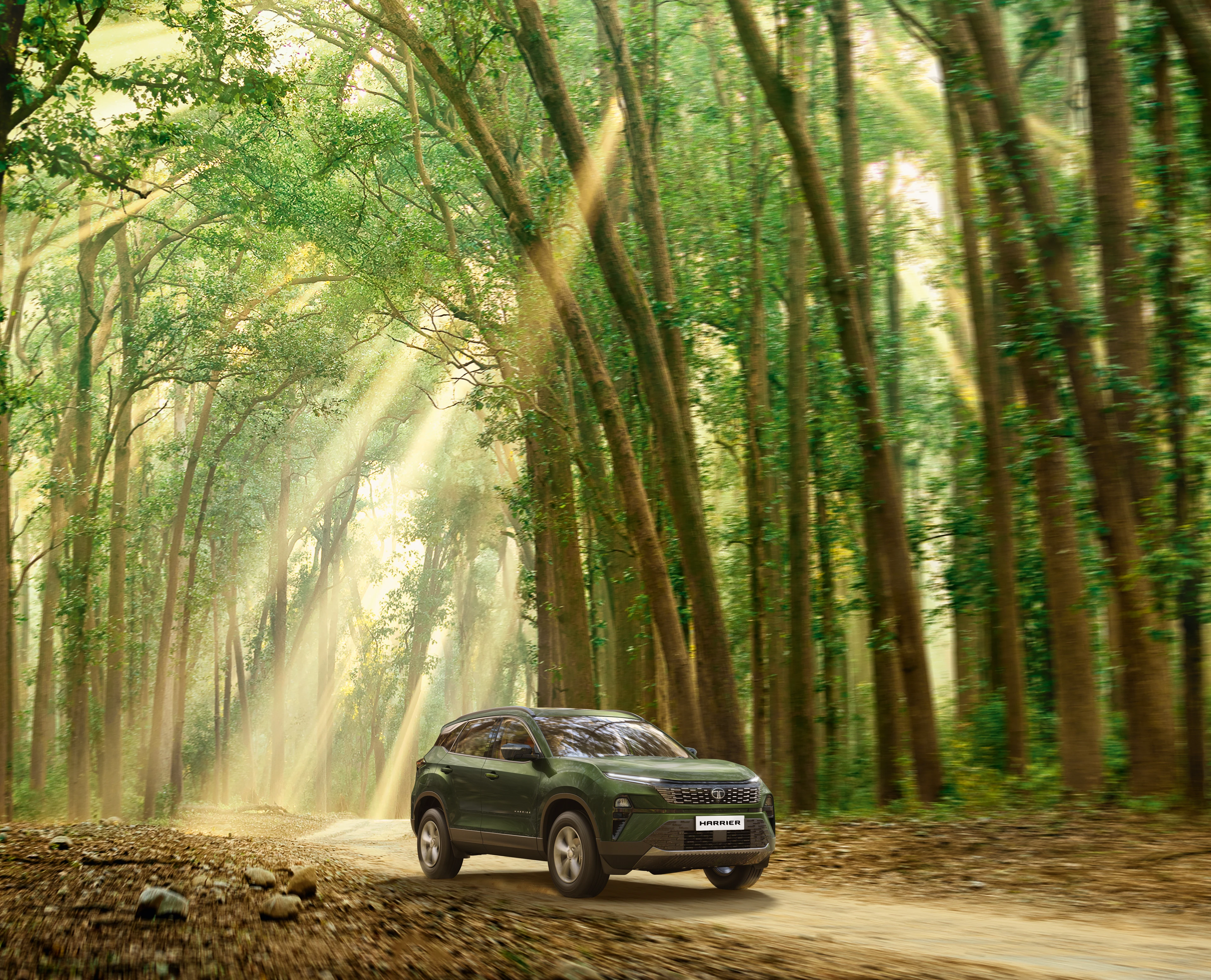 Adventure X in the Forest