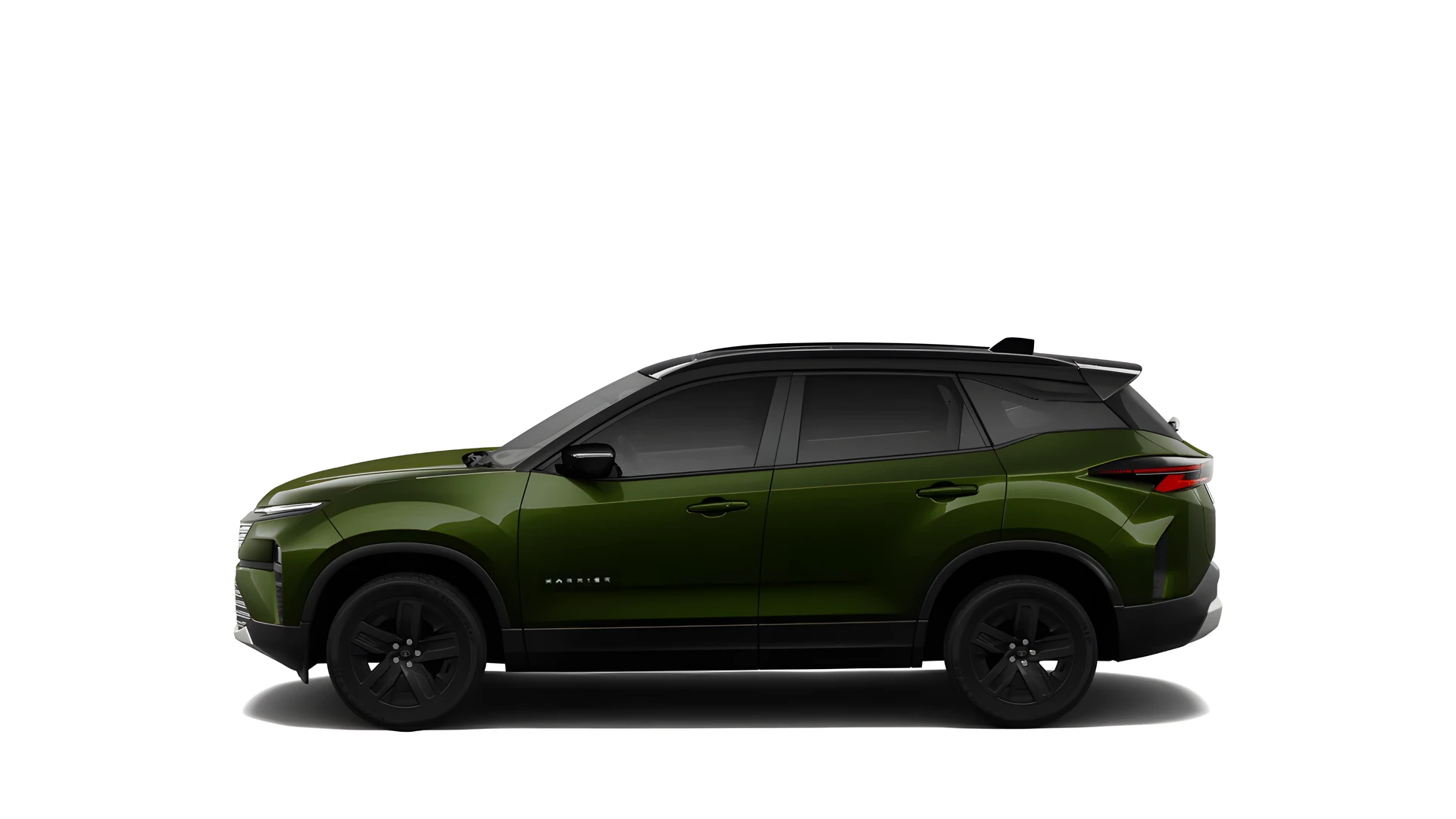 Side Profile (Left)