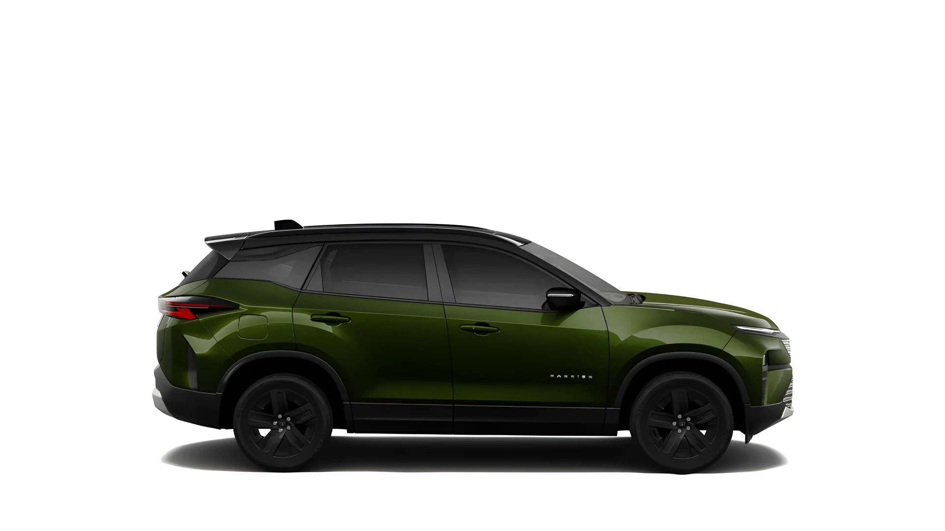 Side Profile (Right)