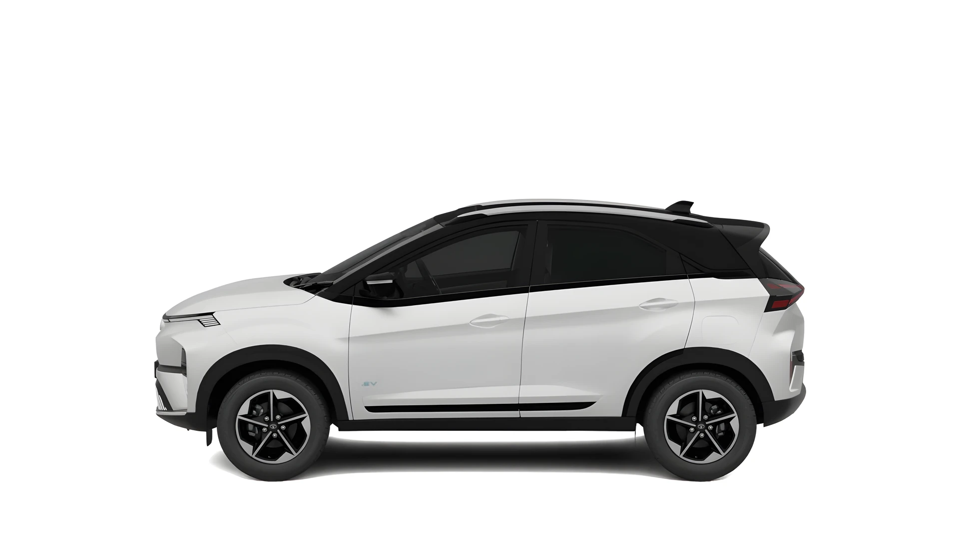 Side Profile (Left)