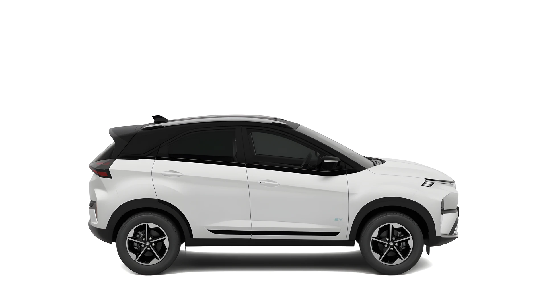 Side Profile (Right)