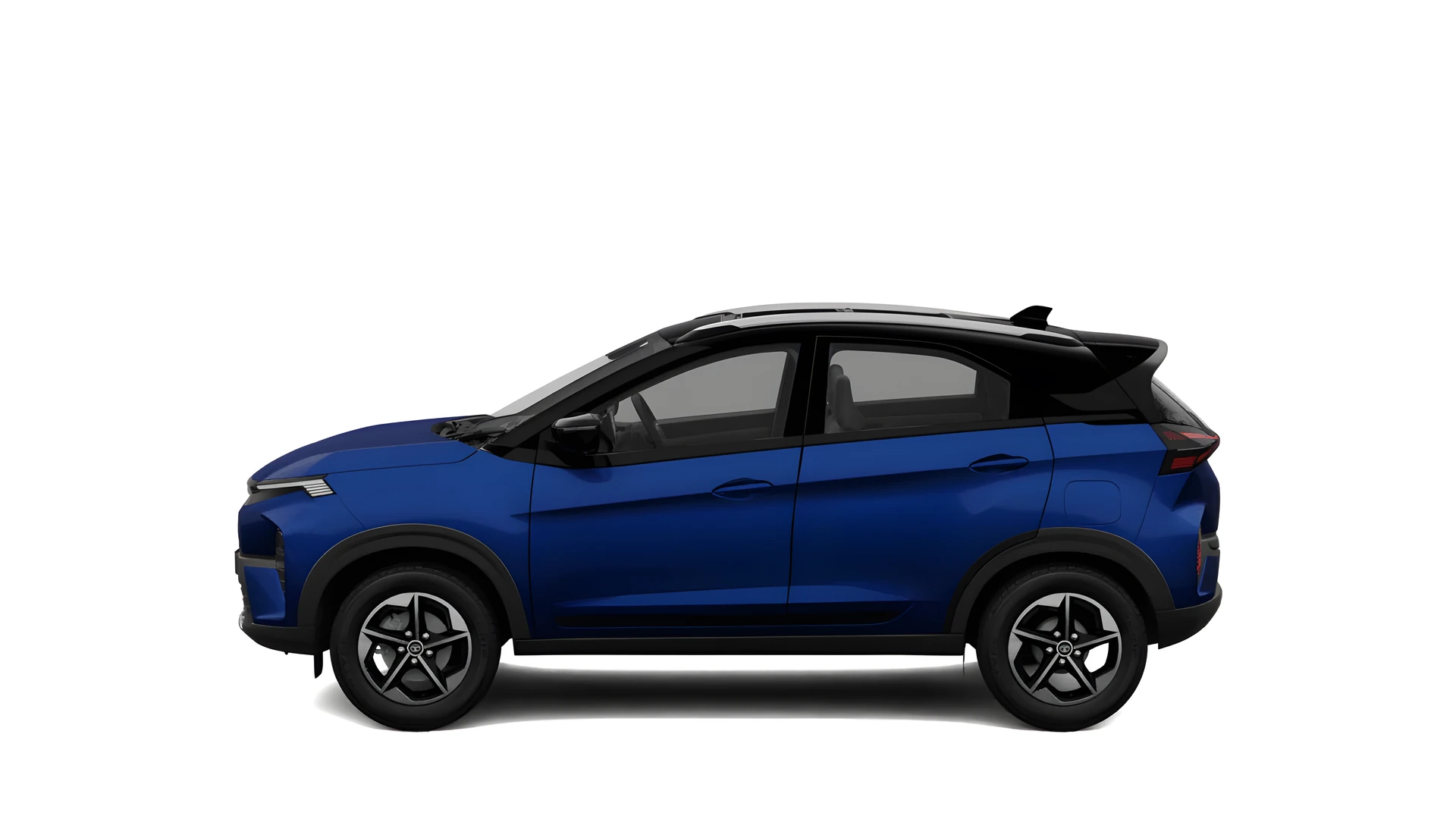 Side Profile (Left)