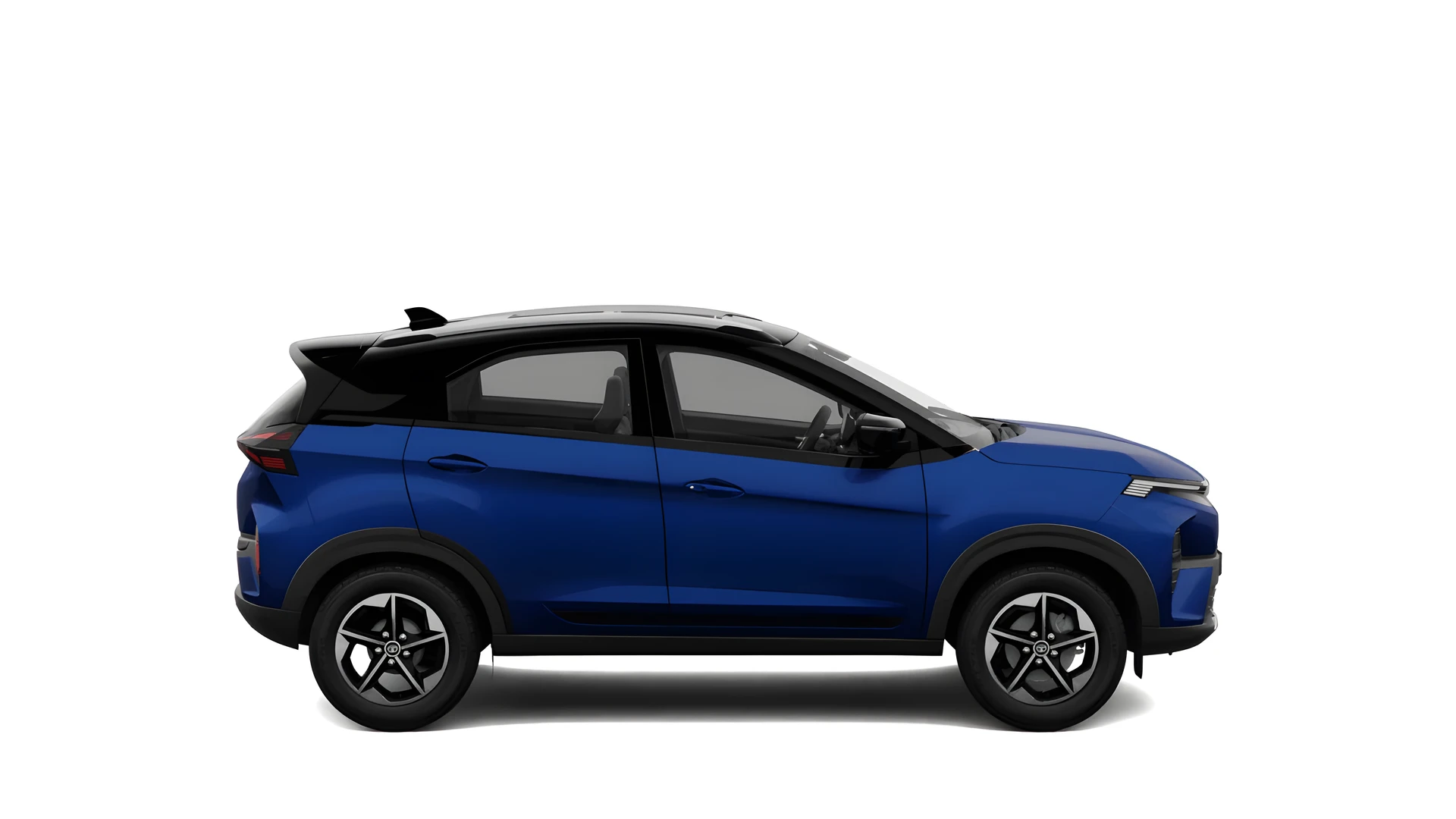 Side Profile (Right)