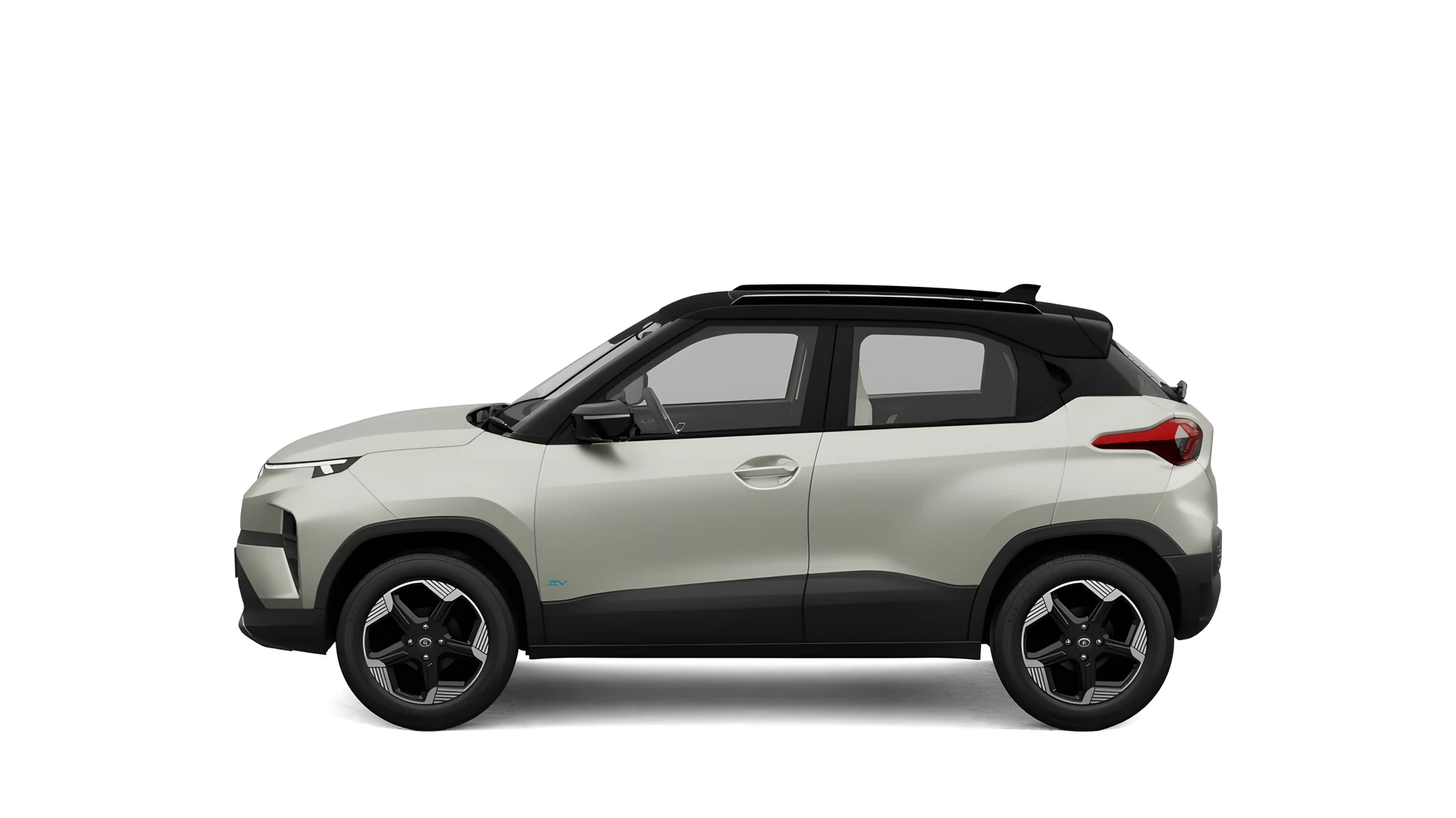 Side Profile (Left)
