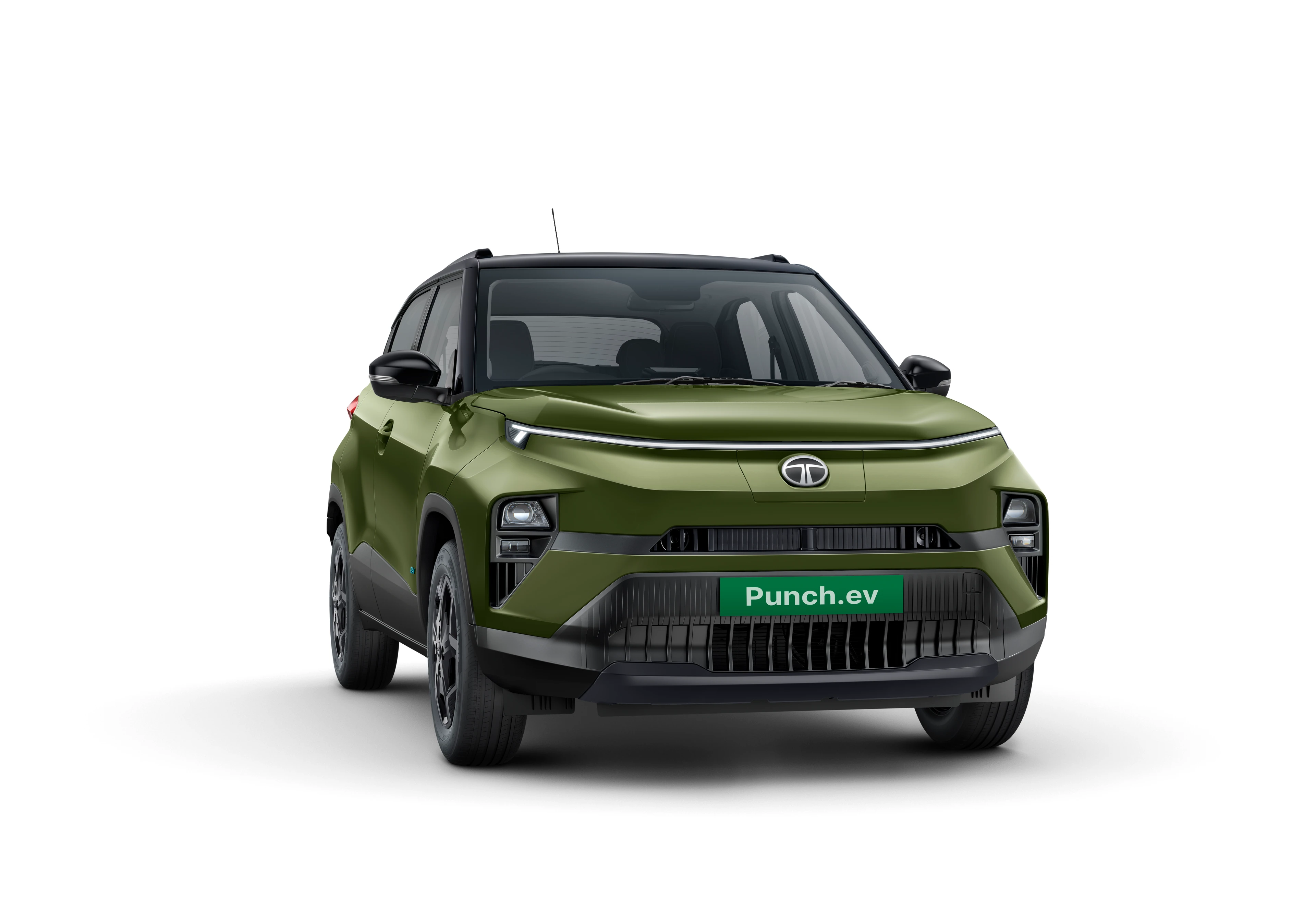 Seaweed Green: Front Three-Quarter