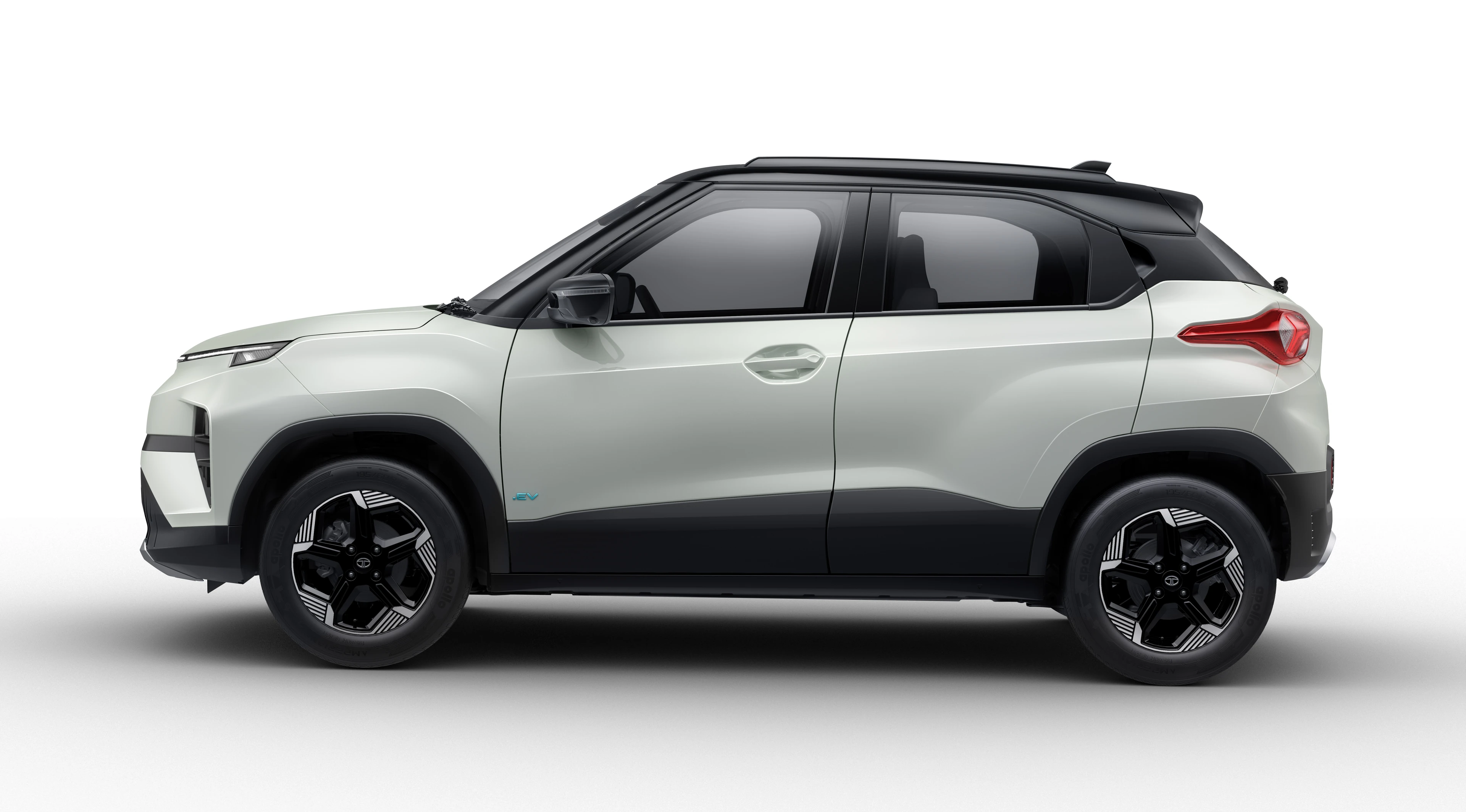 Side Profile (Right)