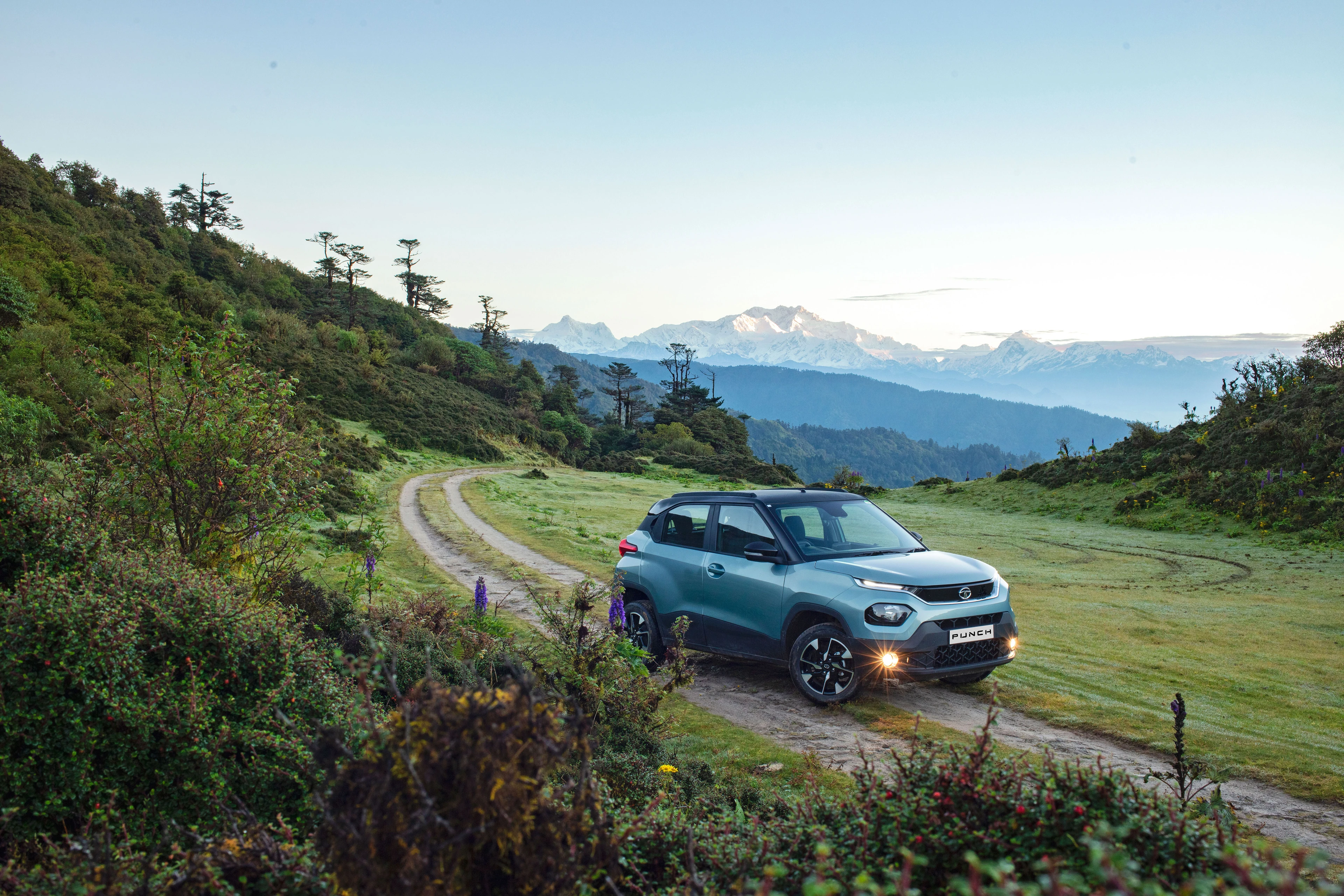 On a Mountain Trail