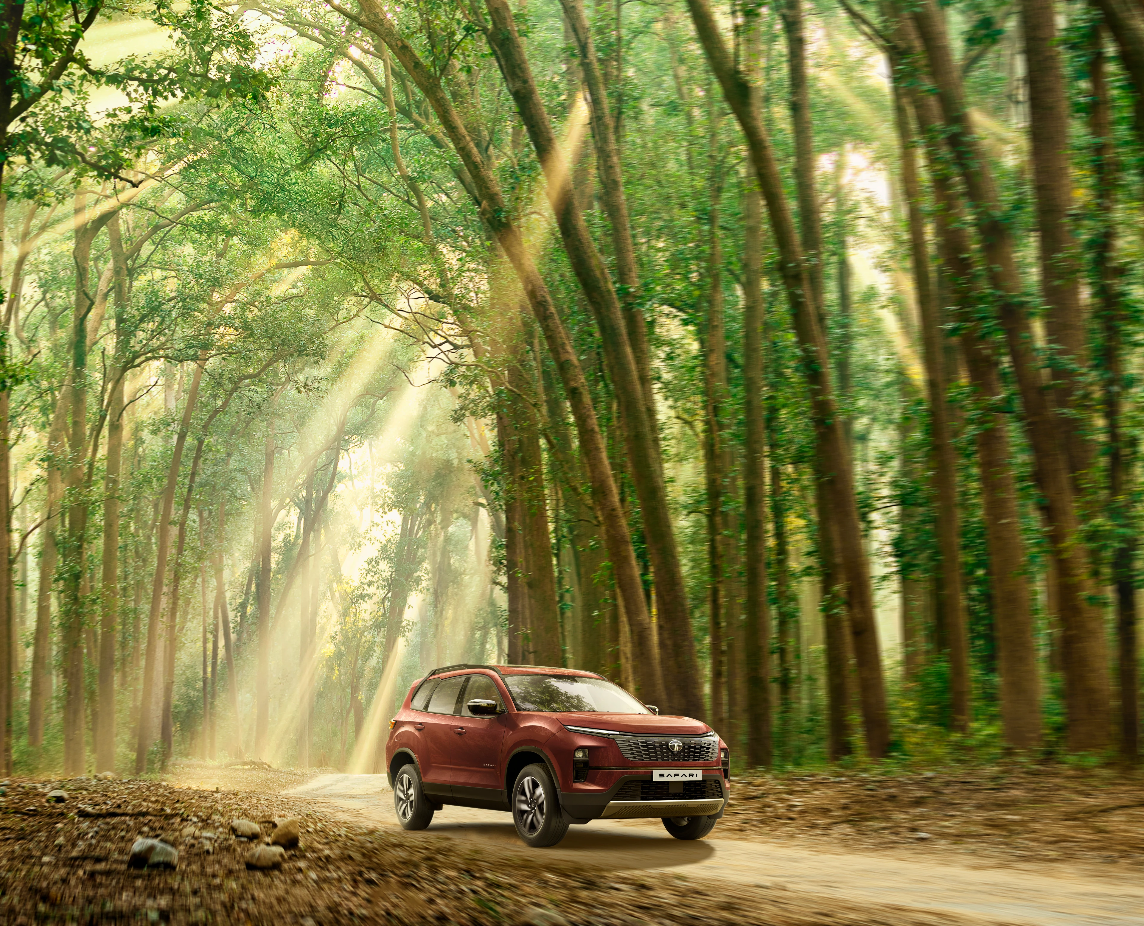 Adventure X+ in the Forest