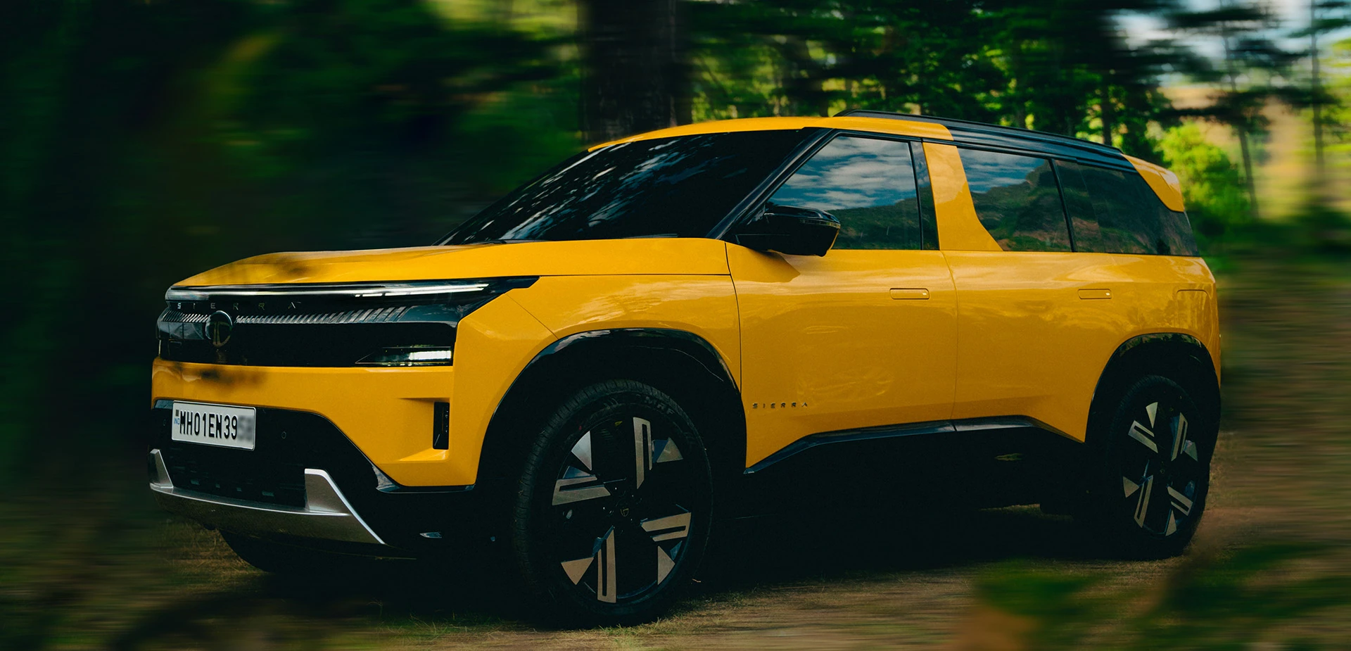 Driving Through the Forest