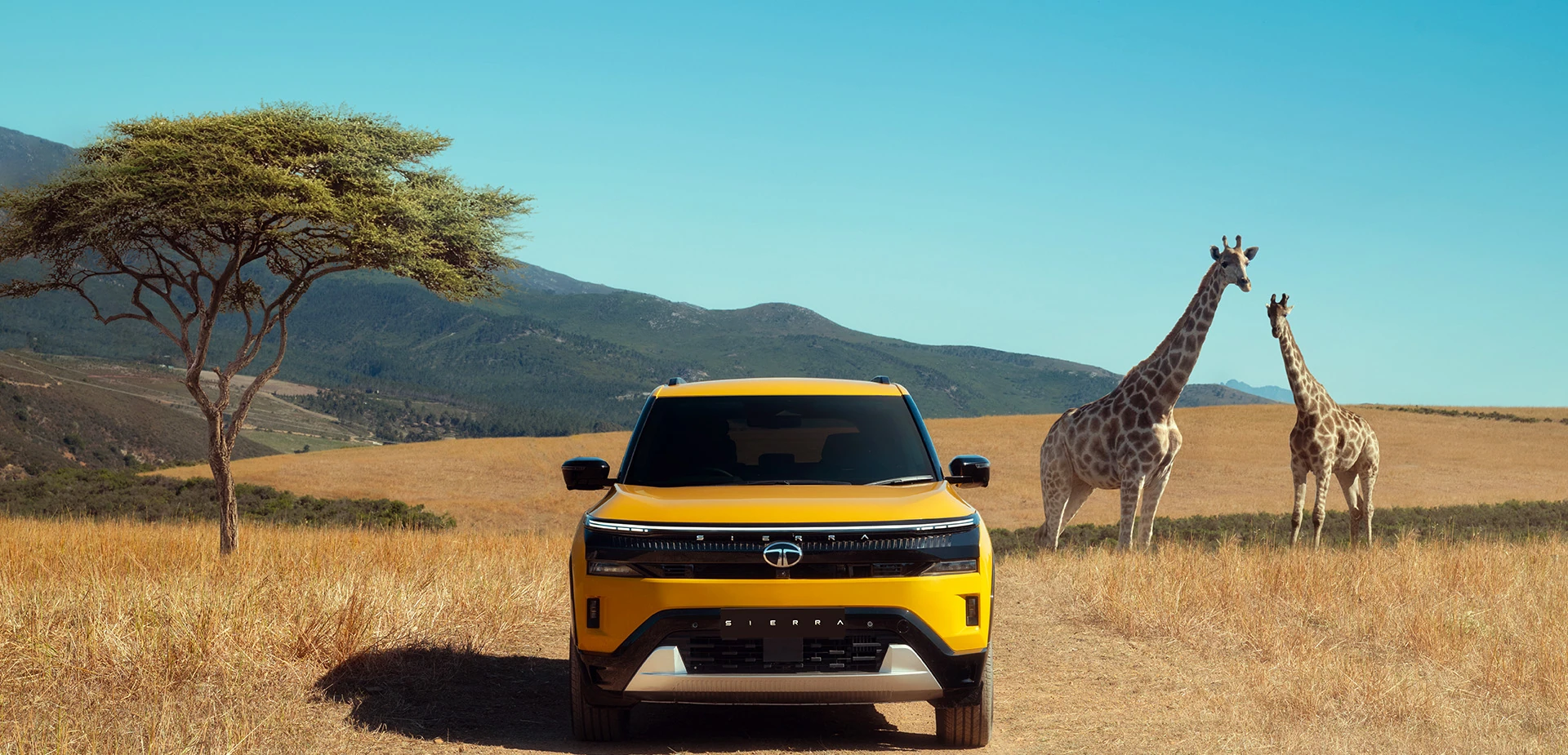 On the Savannah