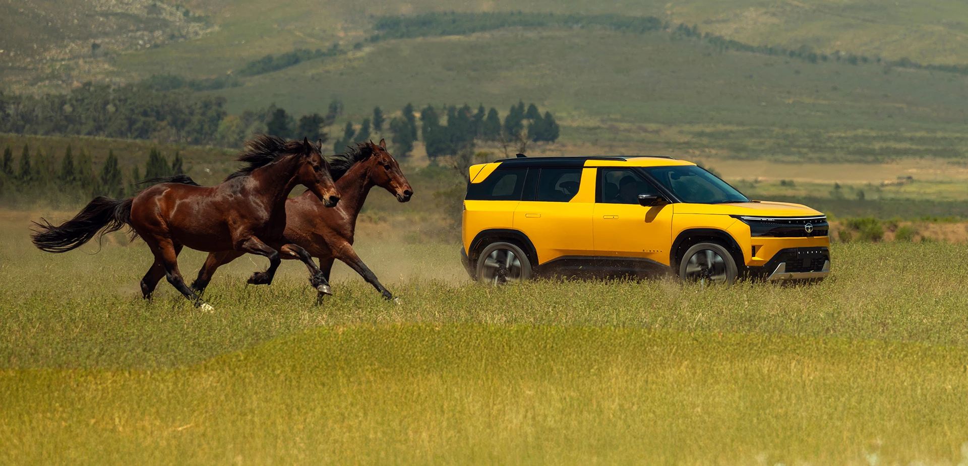 Running with Horses