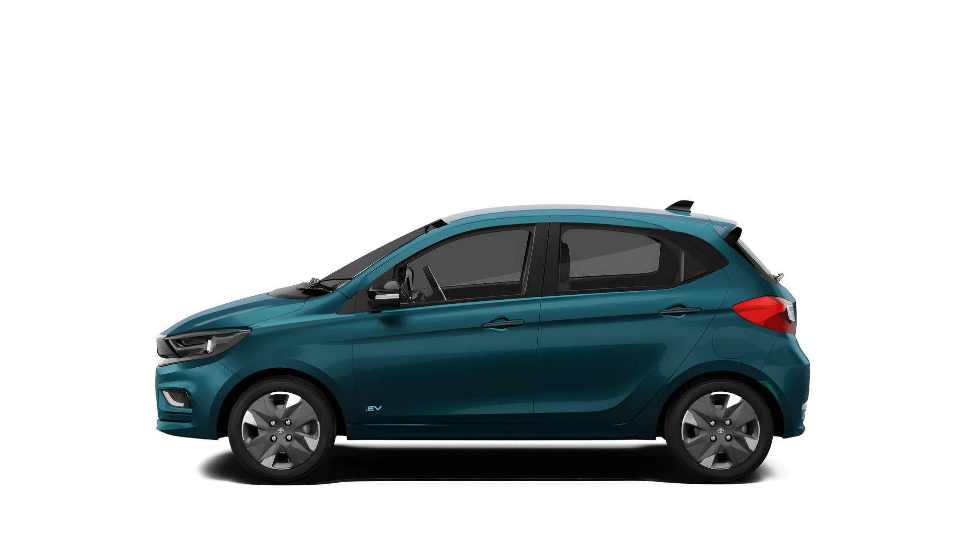 Side Profile (Left)