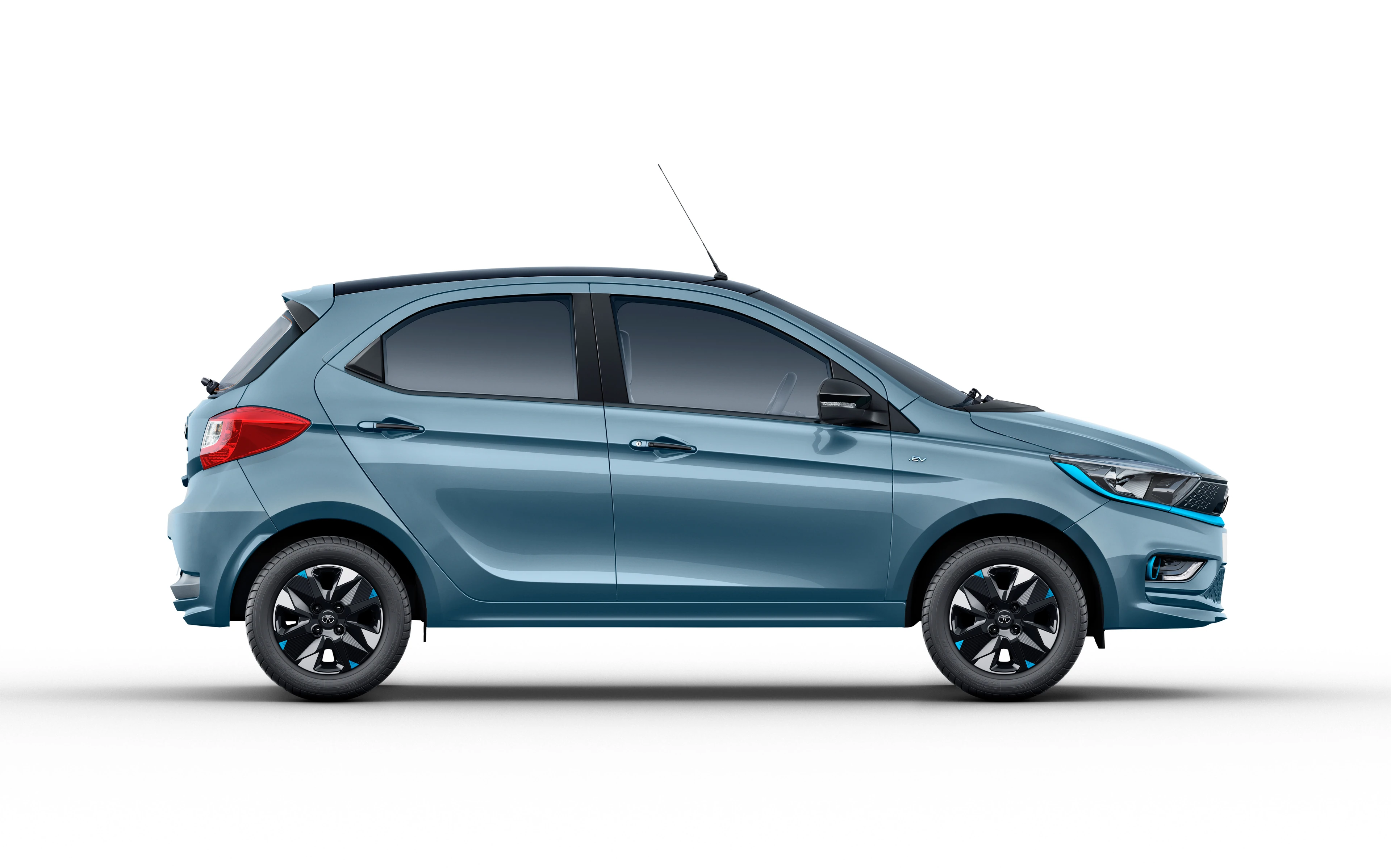Side Profile (Right)
