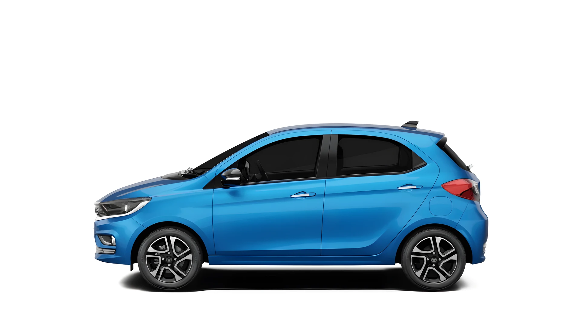Side Profile (Left)