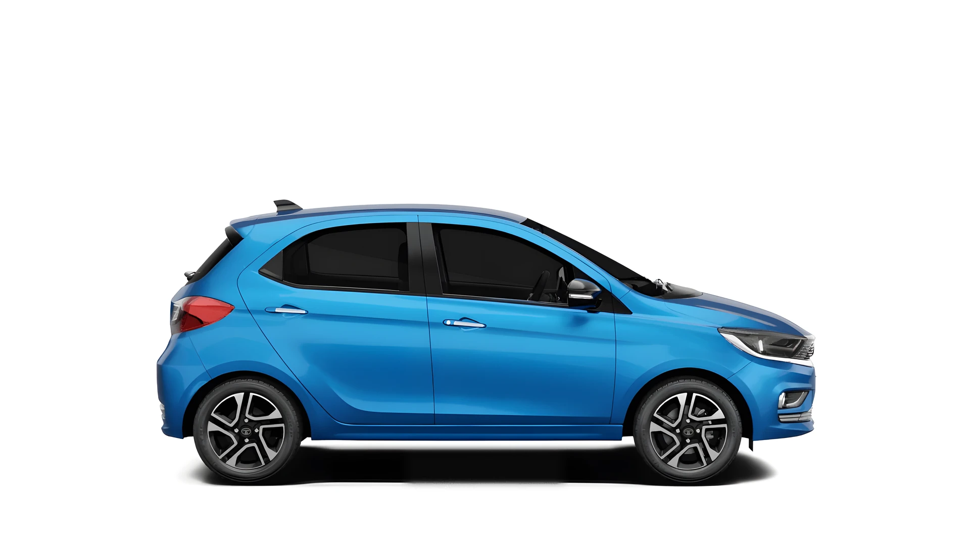 Side Profile (Right)
