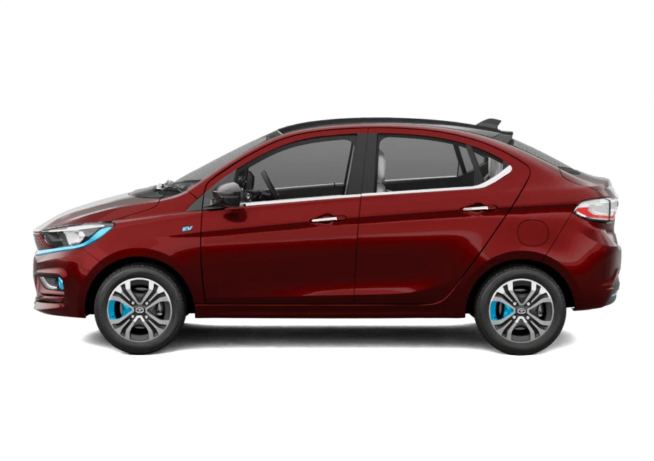 Side Profile (Left)