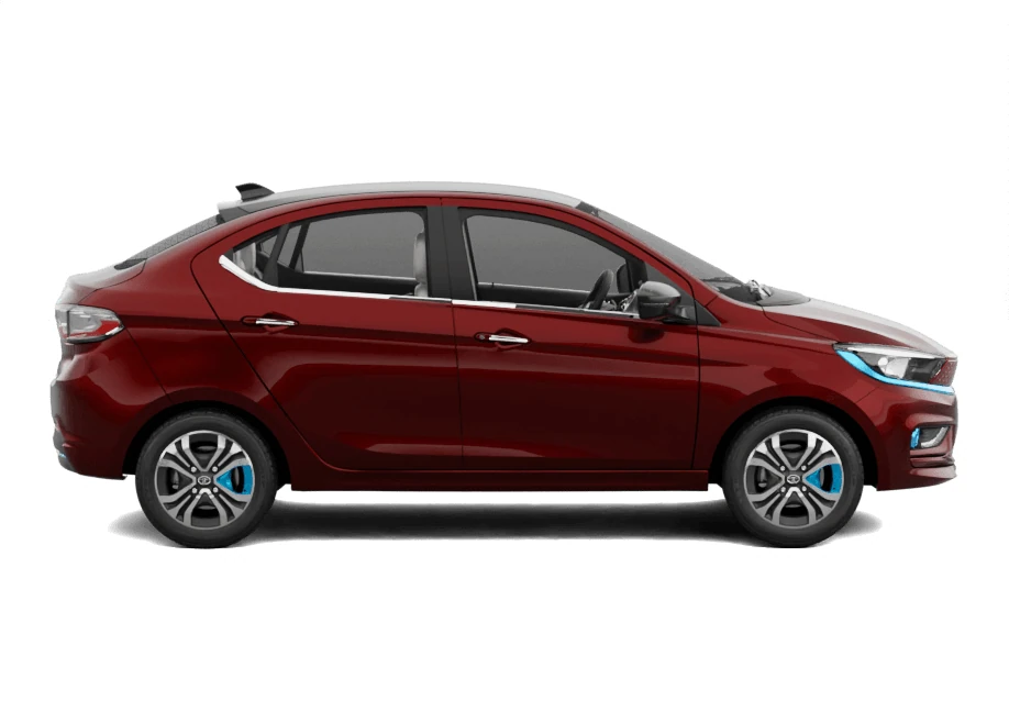 Side Profile (Right)