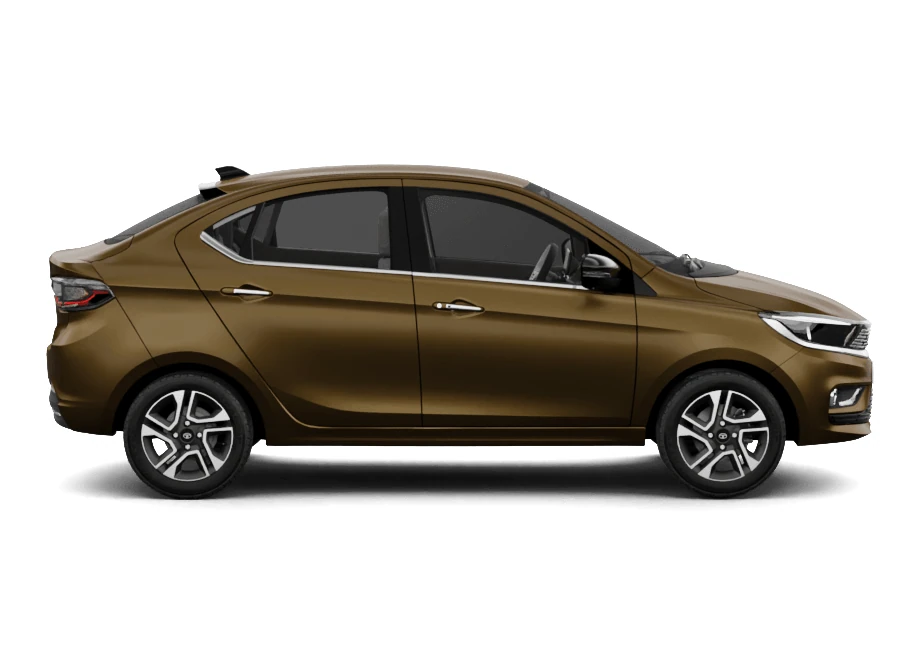 Side Profile (Right)
