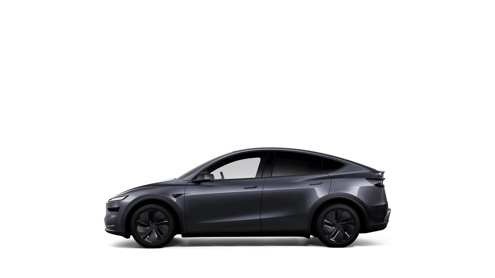 Side Profile (Left)