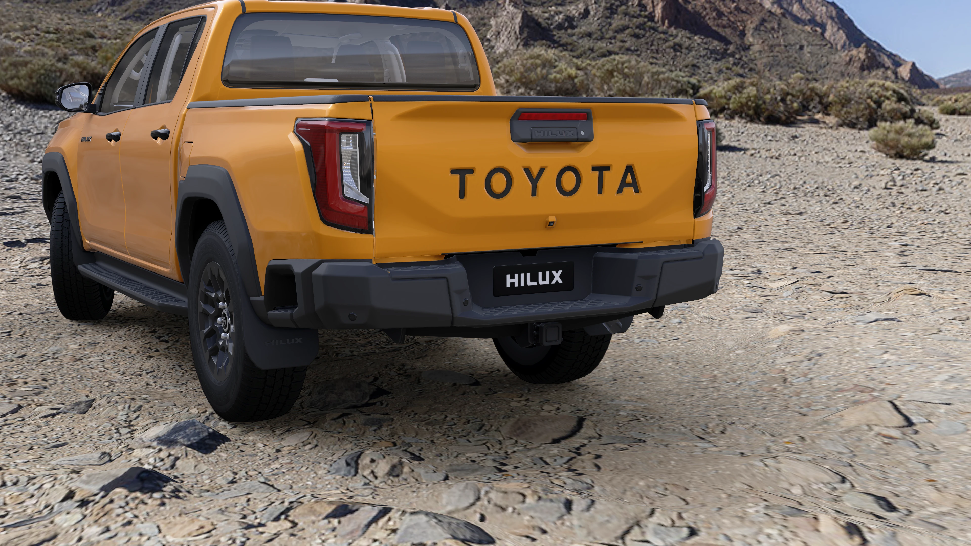 Tail Lamp and Tailgate