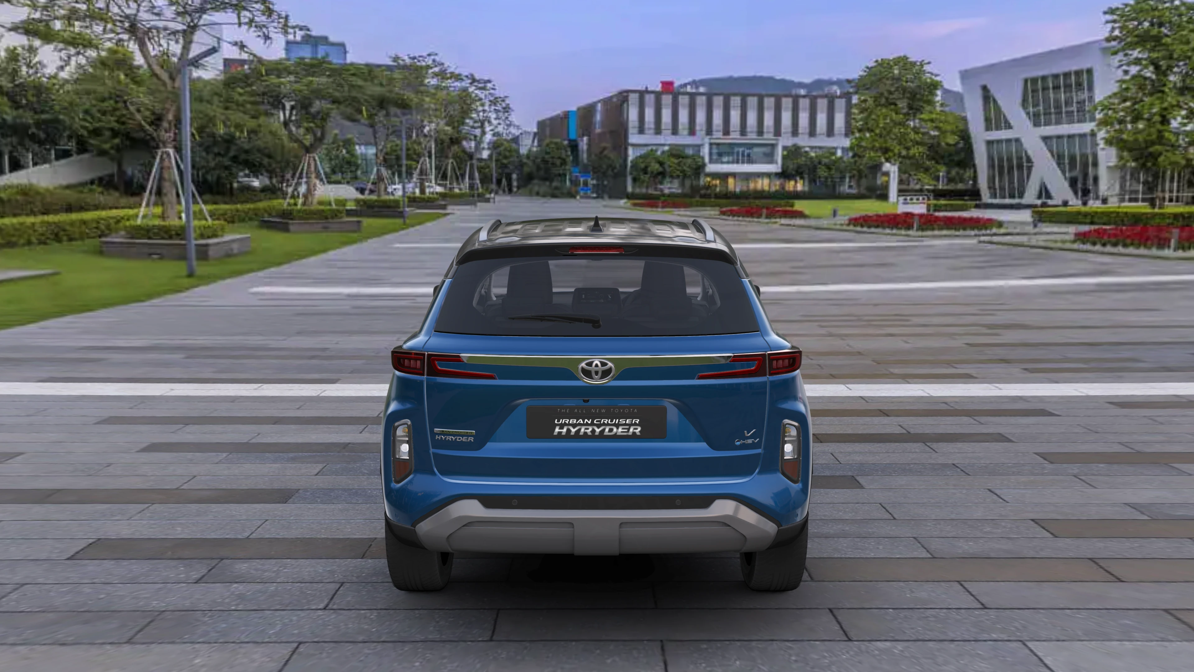 Rear View