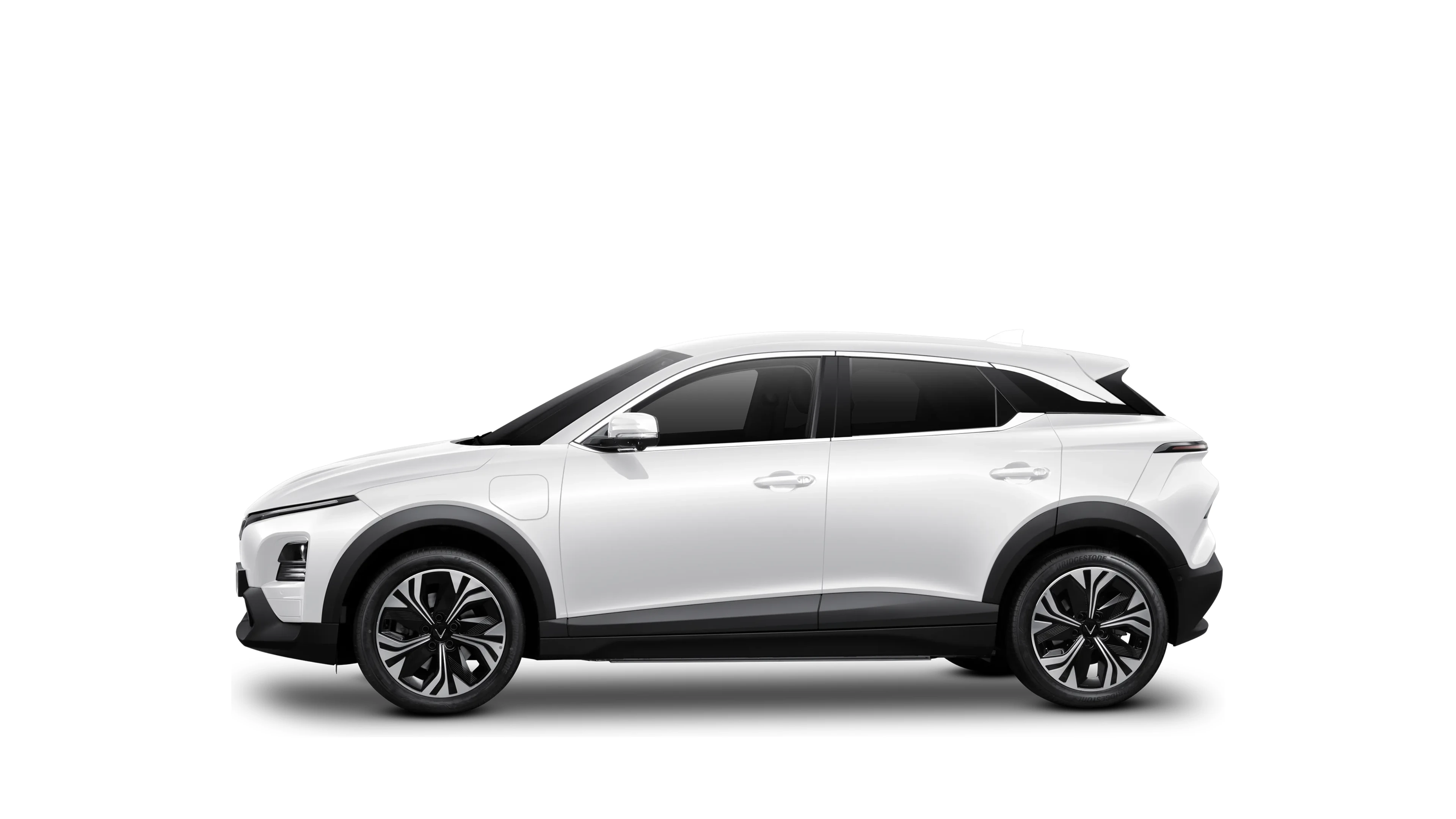 Side Profile (Left)