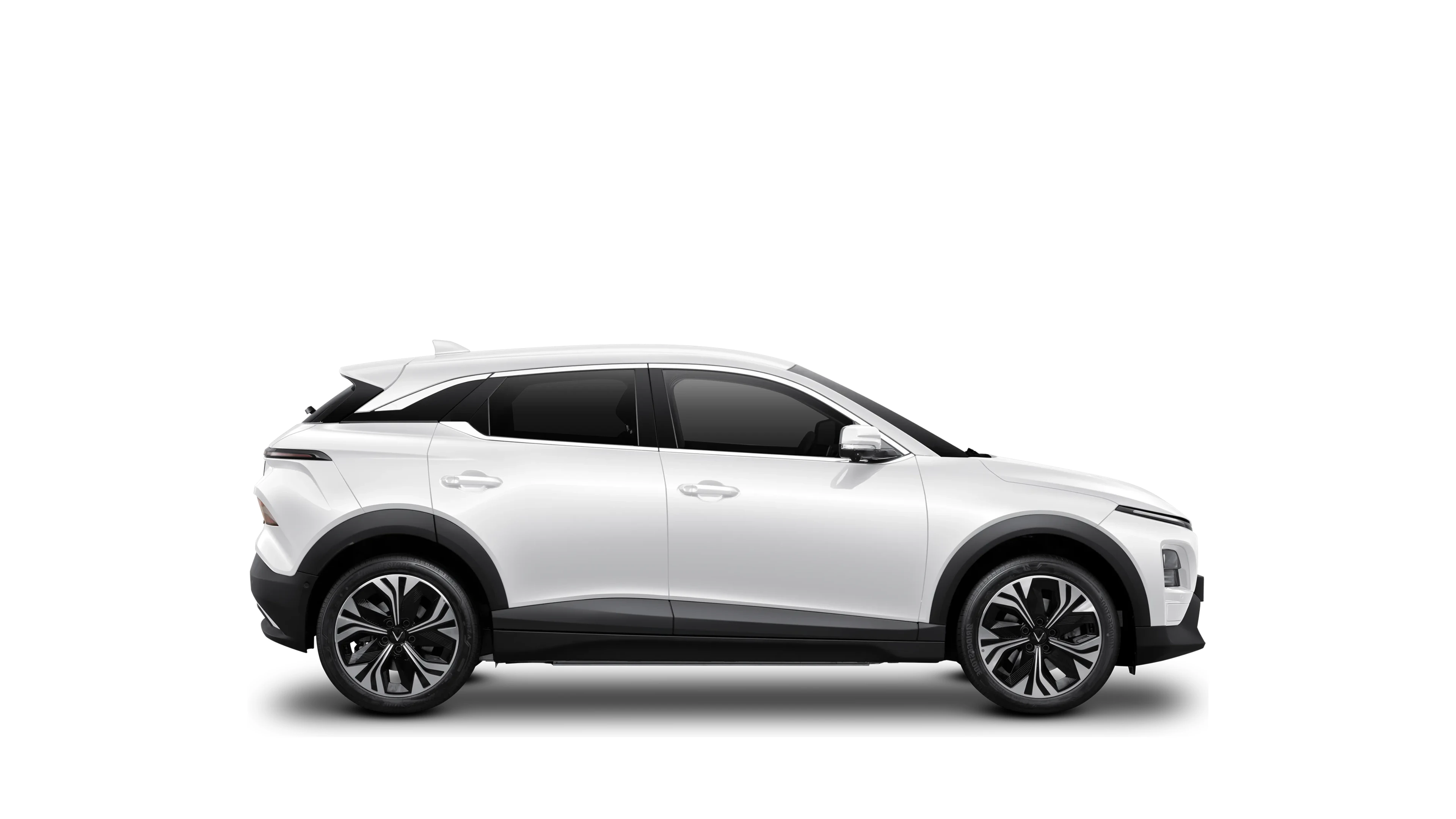 Side Profile (Right)