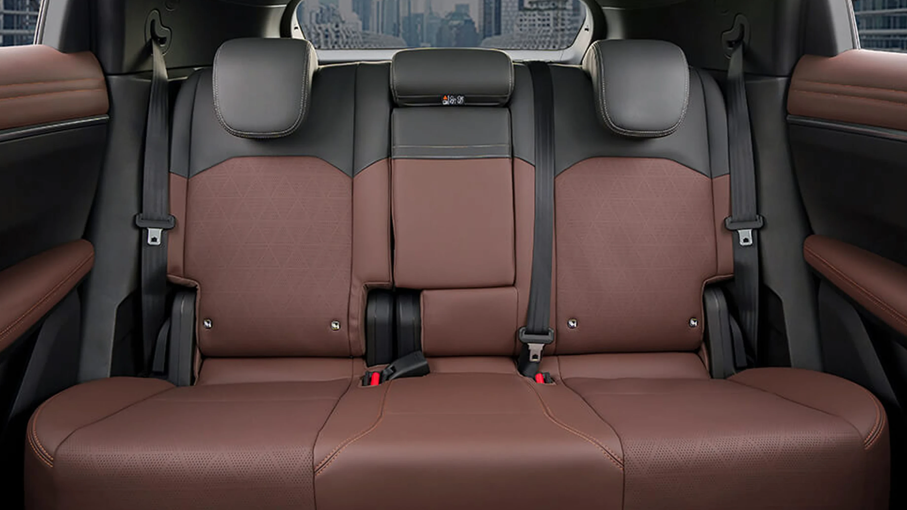 Rear Seats