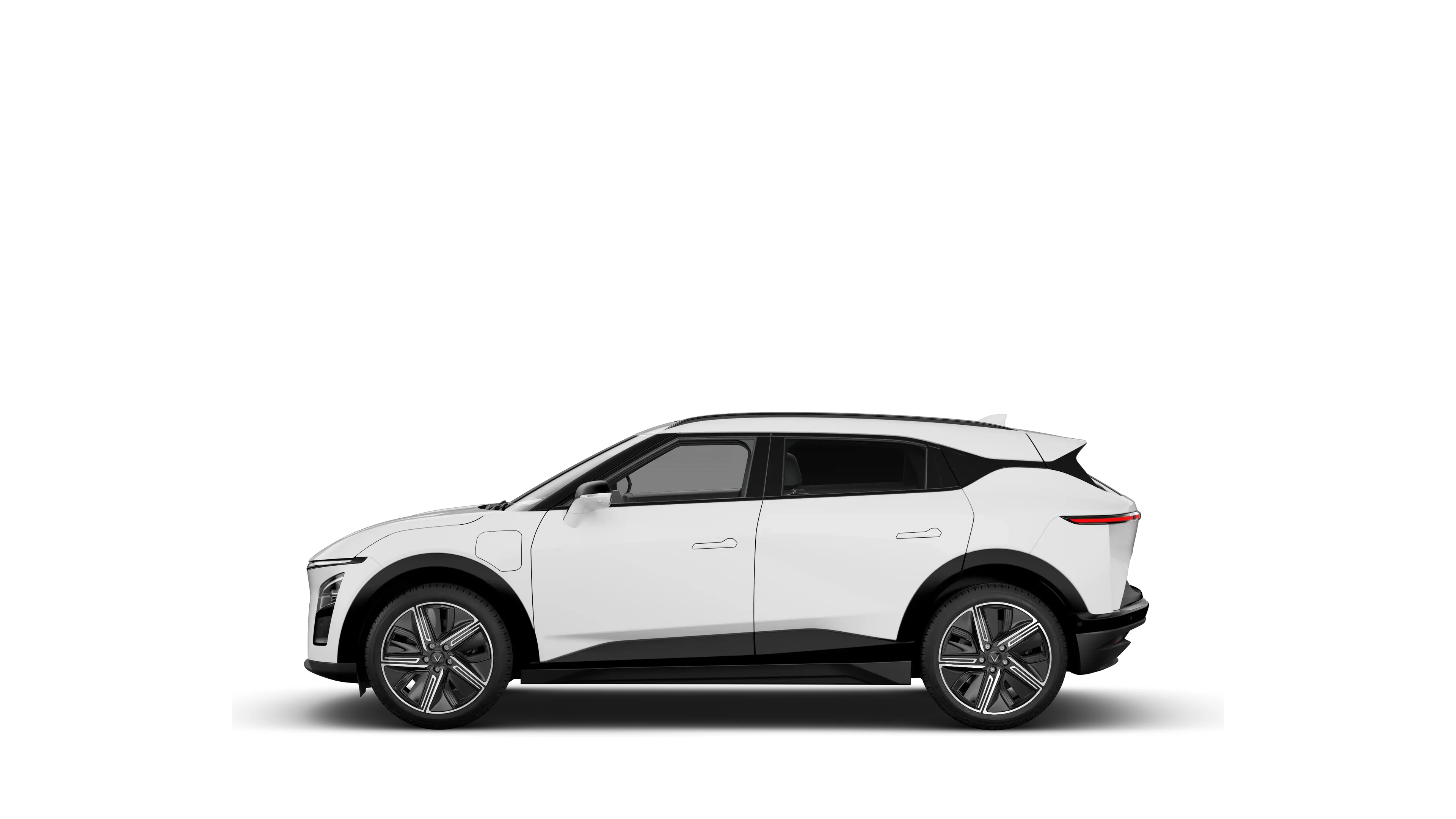 Side Profile (Left)