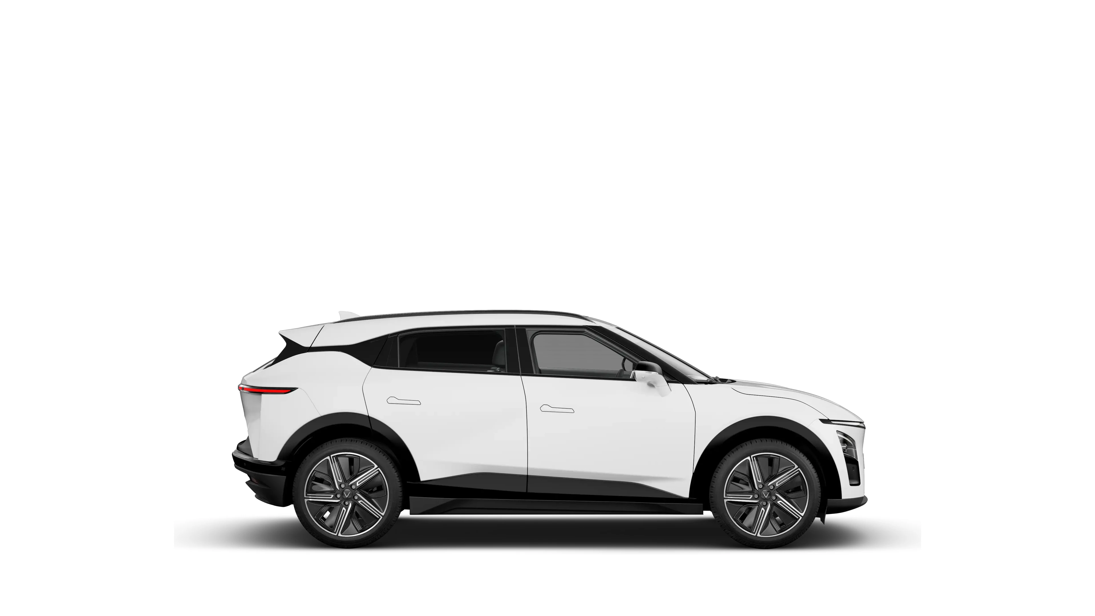 Side Profile (Right)
