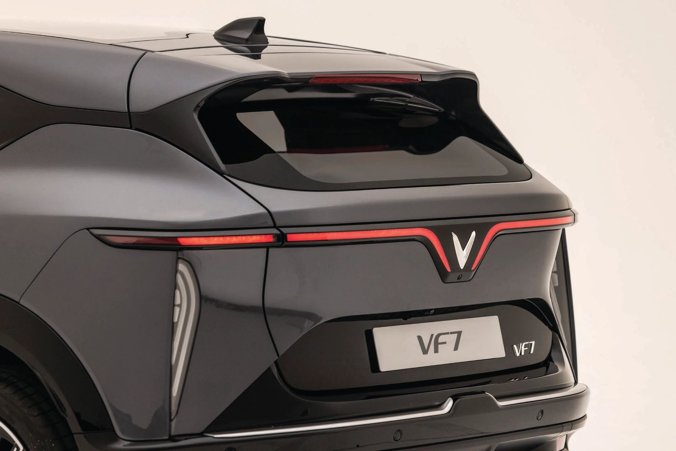 Tail Lamps and Tailgate