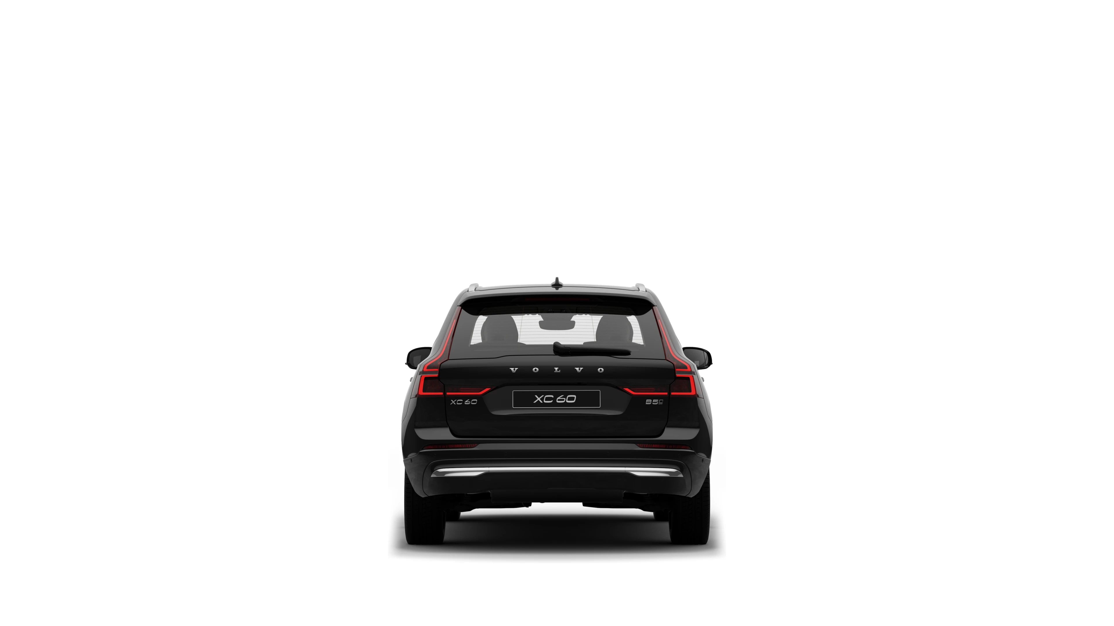Rear View